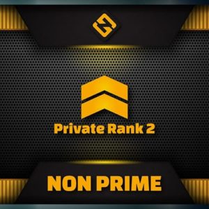 csgo private rank 2 pr2 account