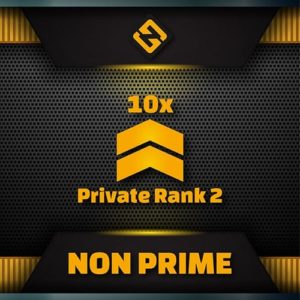 CSGO Private rank 2 bundle 10x