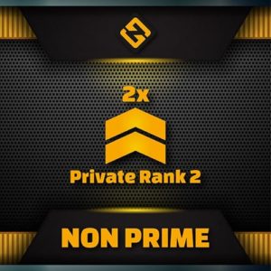 CSGO Private rank 2 bundle 2x